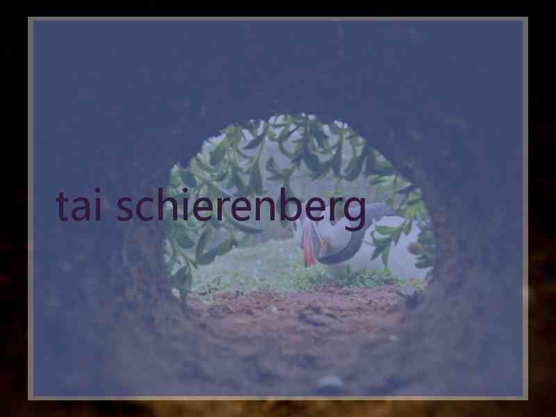 tai schierenberg