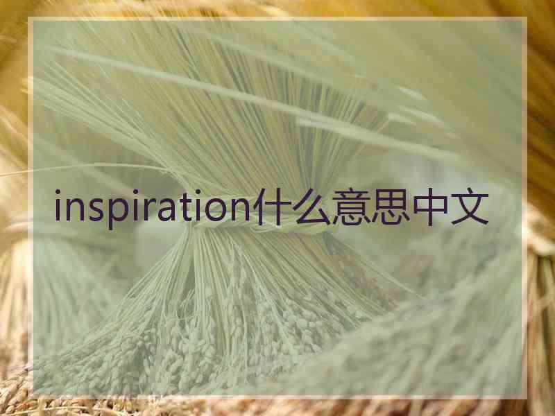 inspiration什么意思中文