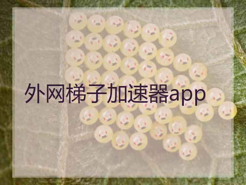 外网梯子加速器app