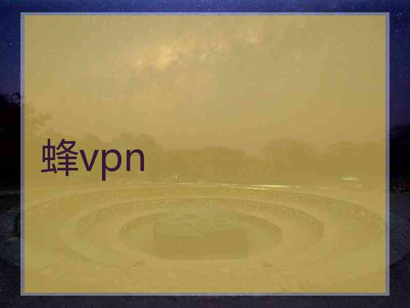 蜂vpn