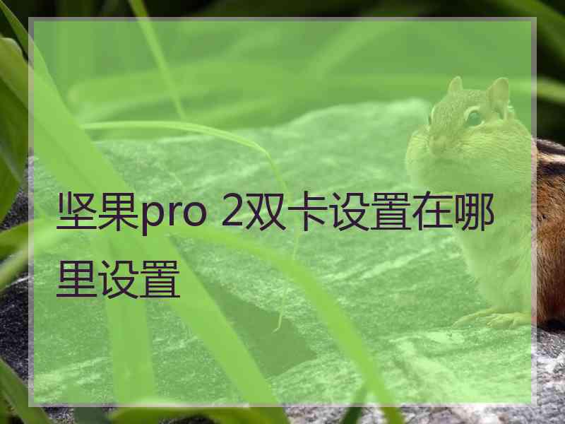 坚果pro 2双卡设置在哪里设置