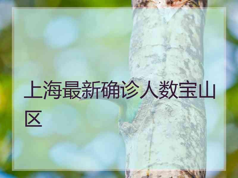 上海最新确诊人数宝山区