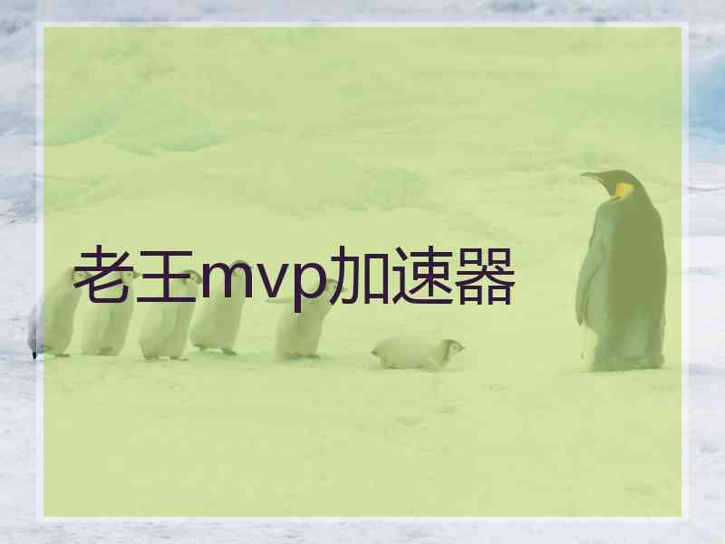 老王mvp加速器