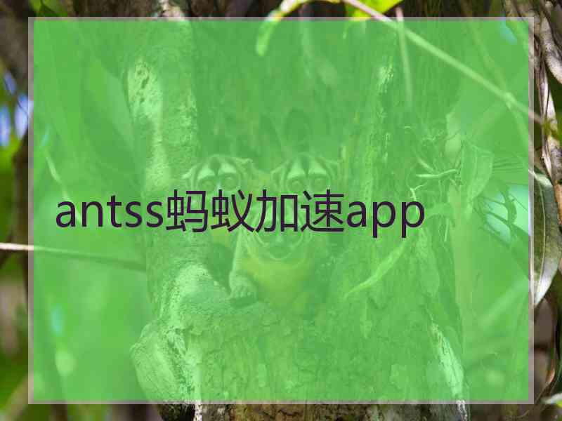 antss蚂蚁加速app