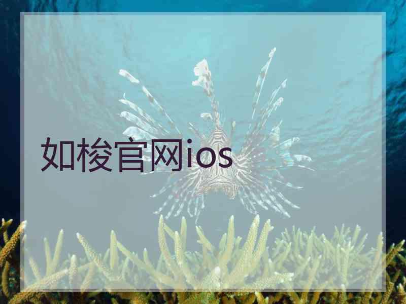 如梭官网ios