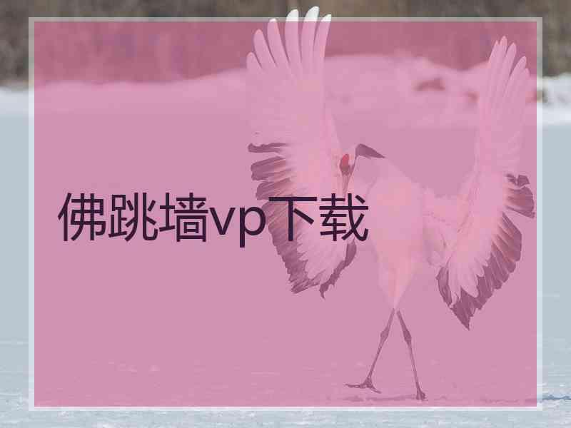 佛跳墙vp下载