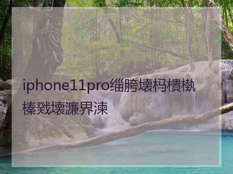 iphone11pro缁胯壊杩樻槸榛戣壊濂界湅