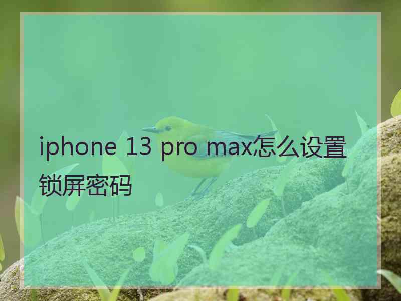 iphone 13 pro max怎么设置锁屏密码