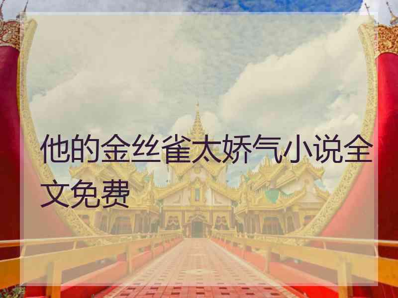 他的金丝雀太娇气小说全文免费