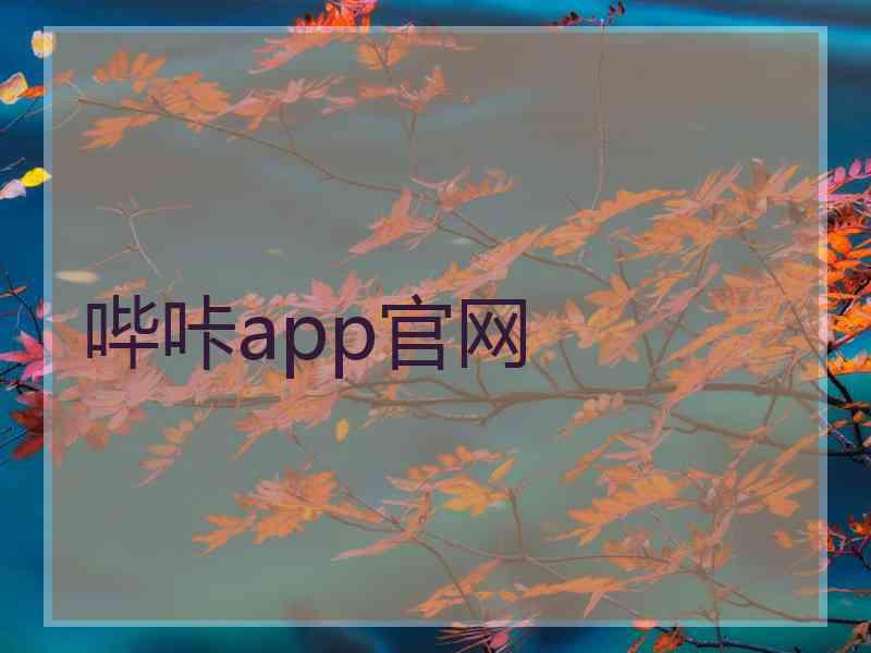 哔咔app官网