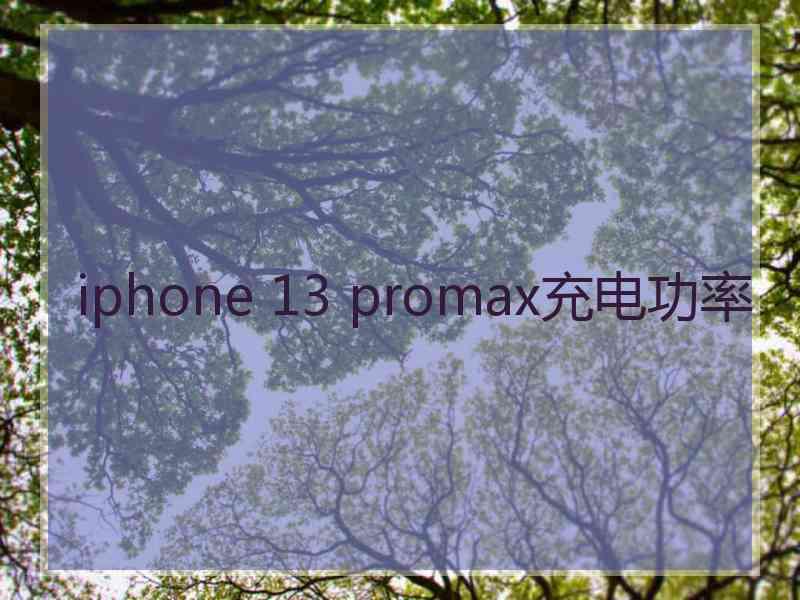 iphone 13 promax充电功率