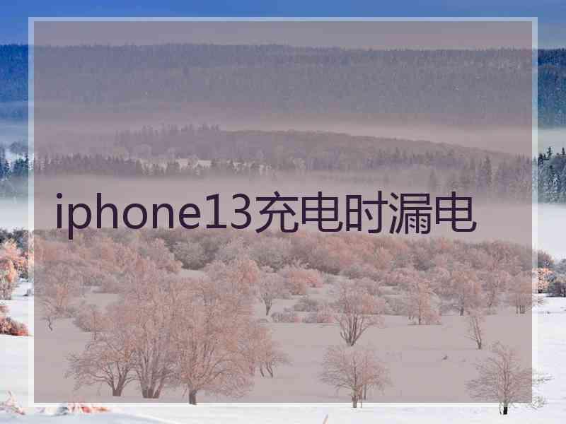 iphone13充电时漏电