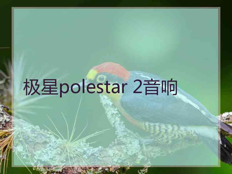 极星polestar 2音响