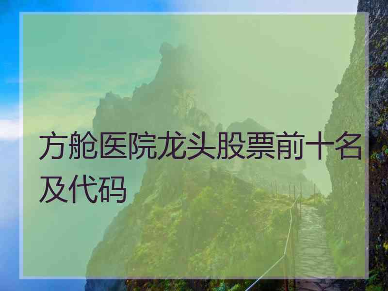 方舱医院龙头股票前十名及代码