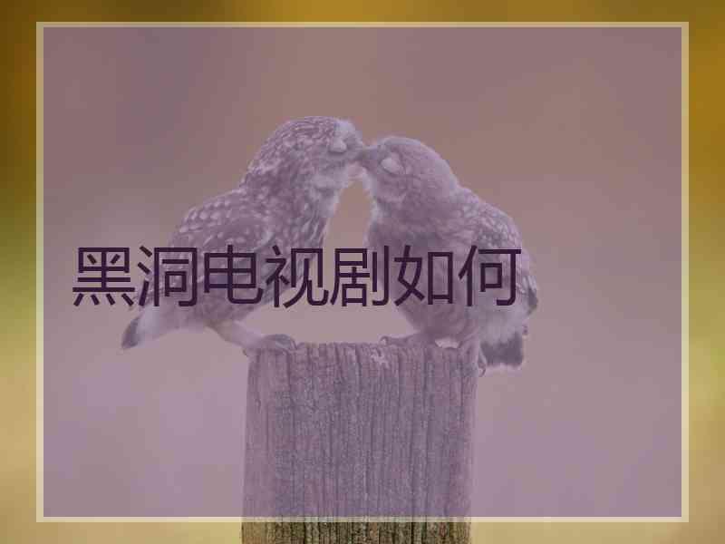 黑洞电视剧如何