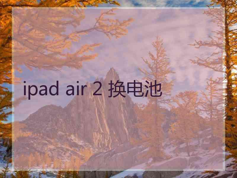 ipad air 2 换电池