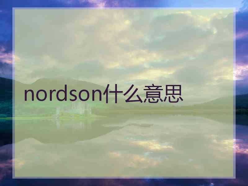 nordson什么意思