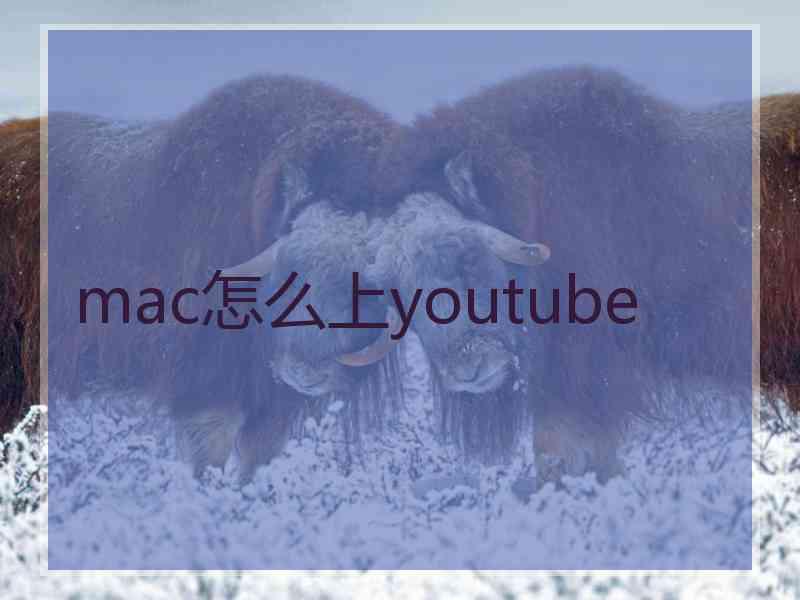 mac怎么上youtube