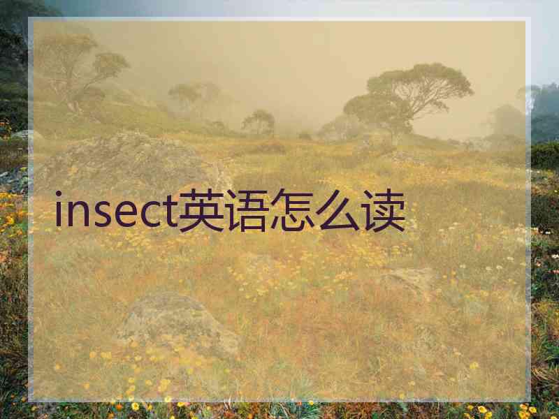 insect英语怎么读