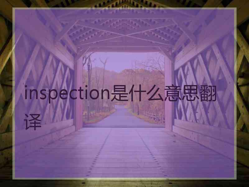 inspection是什么意思翻译