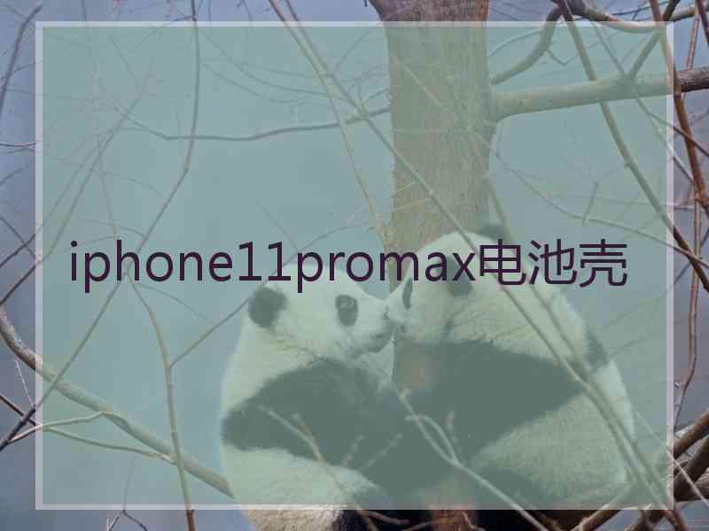 iphone11promax电池壳