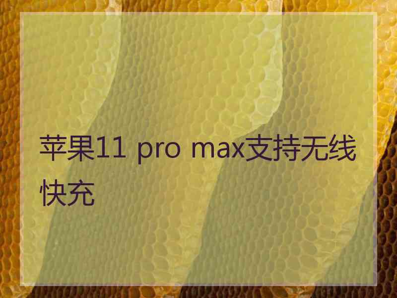 苹果11 pro max支持无线快充