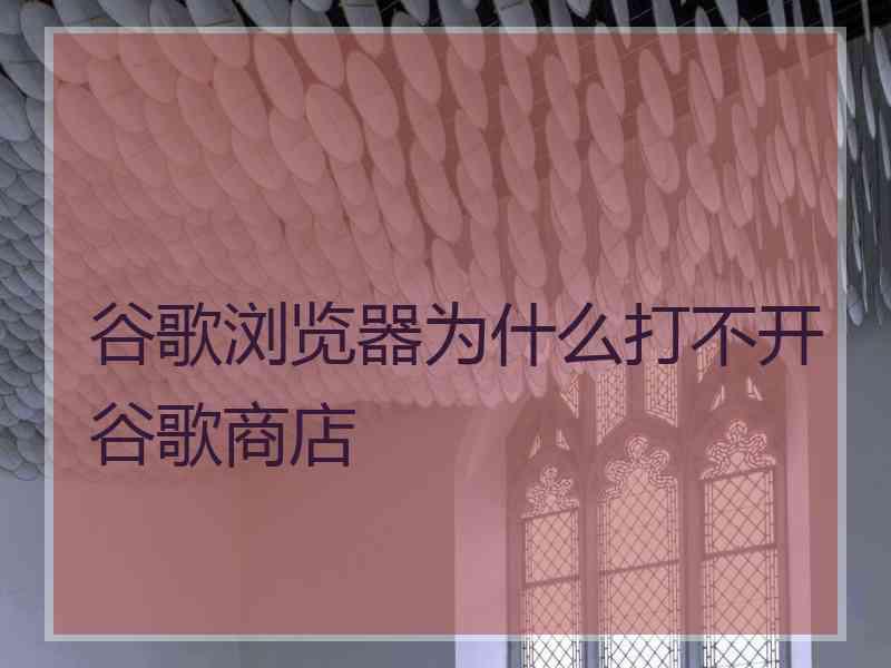 谷歌浏览器为什么打不开谷歌商店