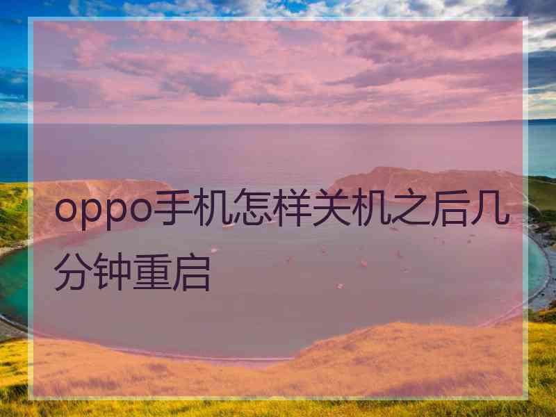 oppo手机怎样关机之后几分钟重启