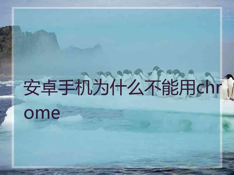 安卓手机为什么不能用chrome