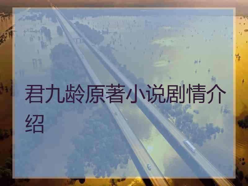 君九龄原著小说剧情介绍