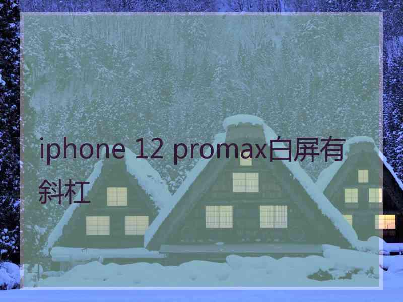 iphone 12 promax白屏有斜杠