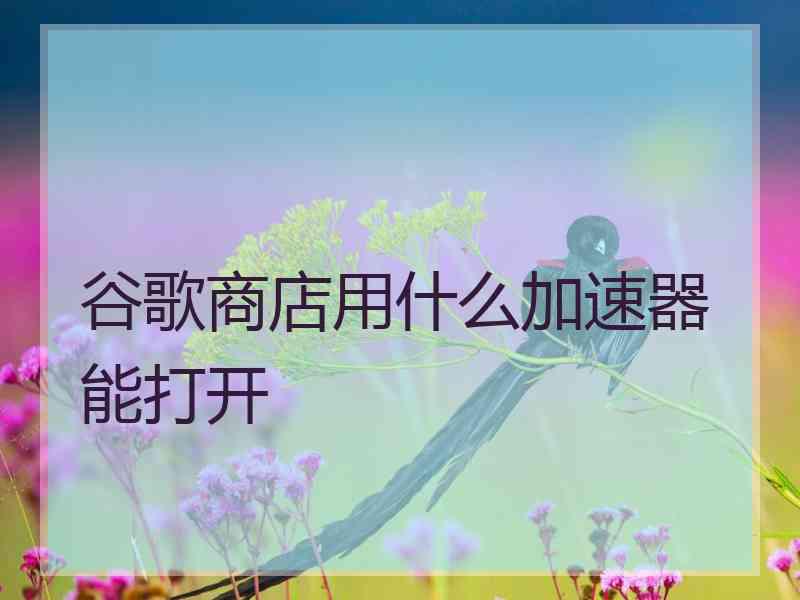 谷歌商店用什么加速器能打开