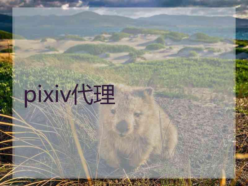 pixiv代理