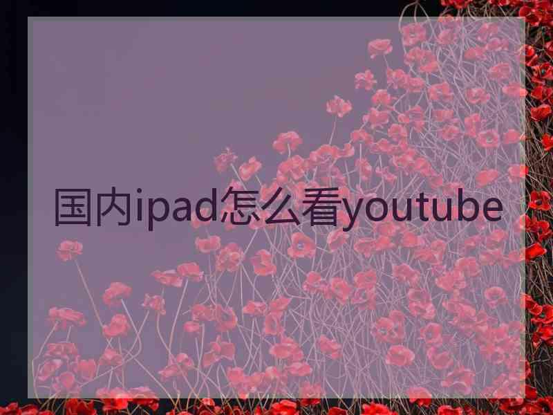 国内ipad怎么看youtube