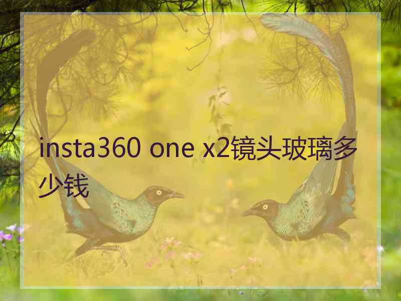 insta360 one x2镜头玻璃多少钱