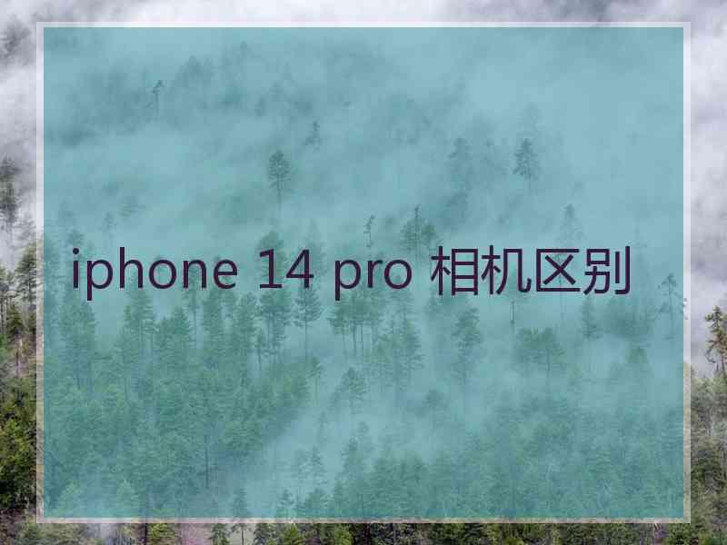 iphone 14 pro 相机区别