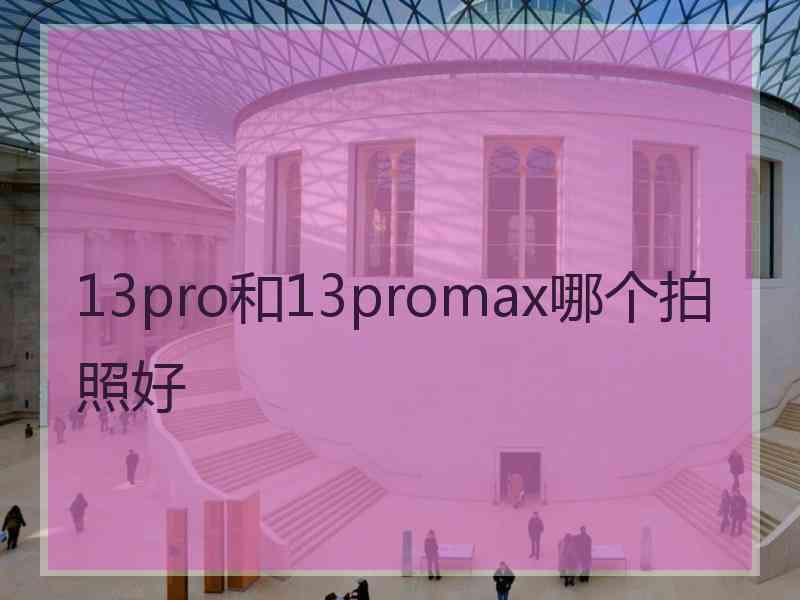 13pro和13promax哪个拍照好