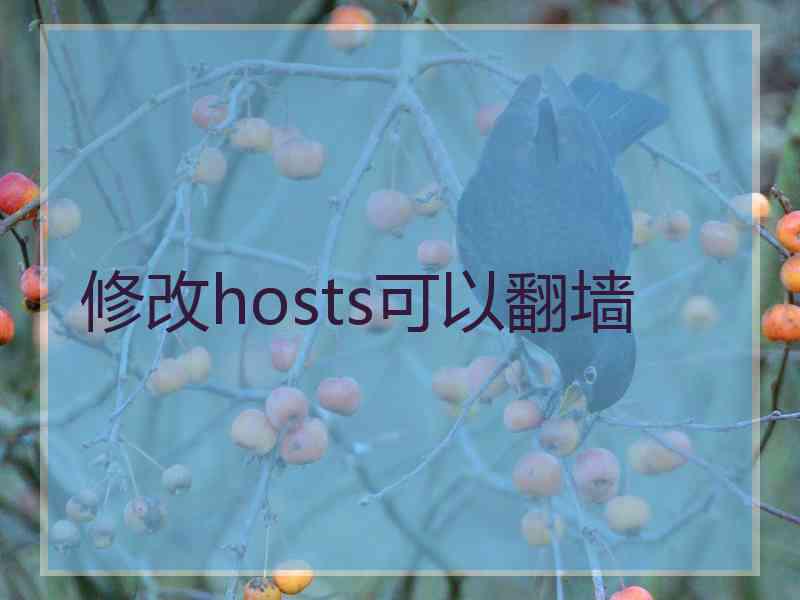 修改hosts可以翻墙