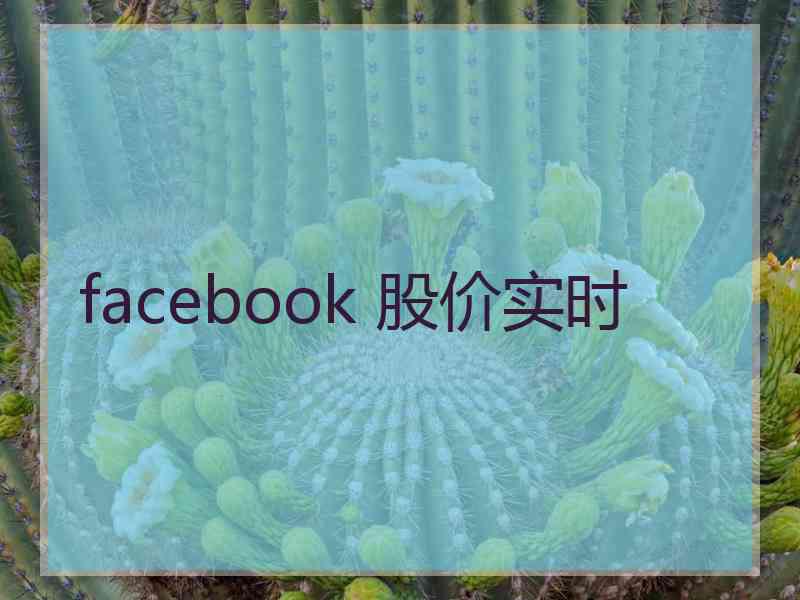 facebook 股价实时