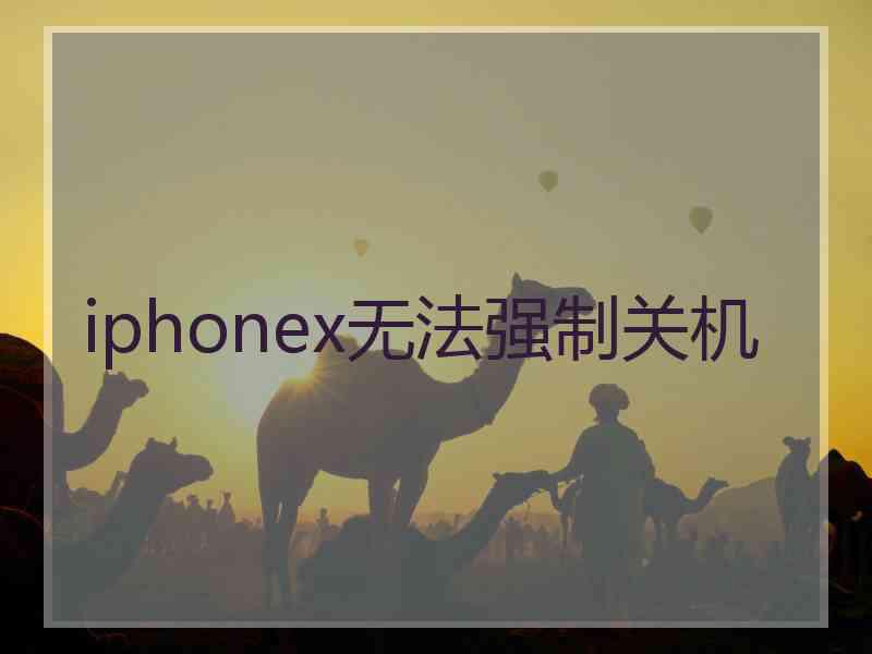 iphonex无法强制关机