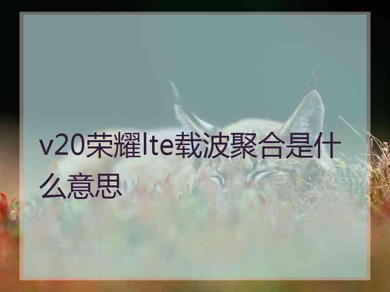 v20荣耀lte载波聚合是什么意思