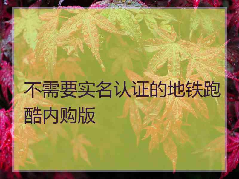 不需要实名认证的地铁跑酷内购版