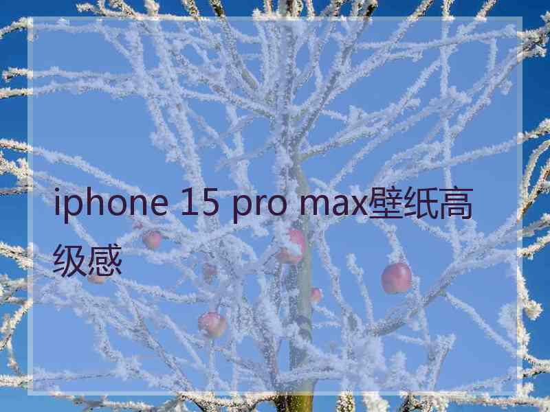 iphone 15 pro max壁纸高级感