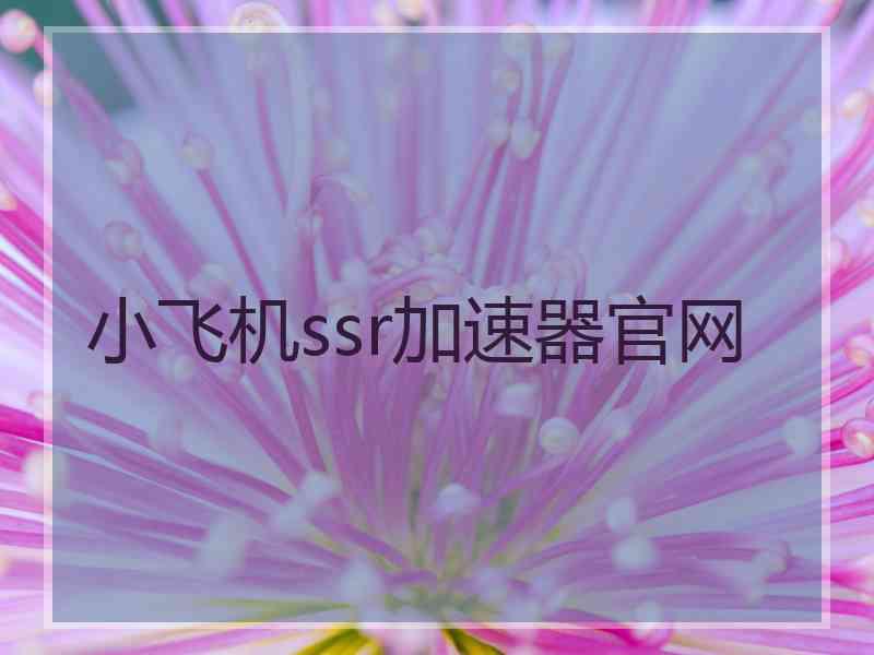 小飞机ssr加速器官网