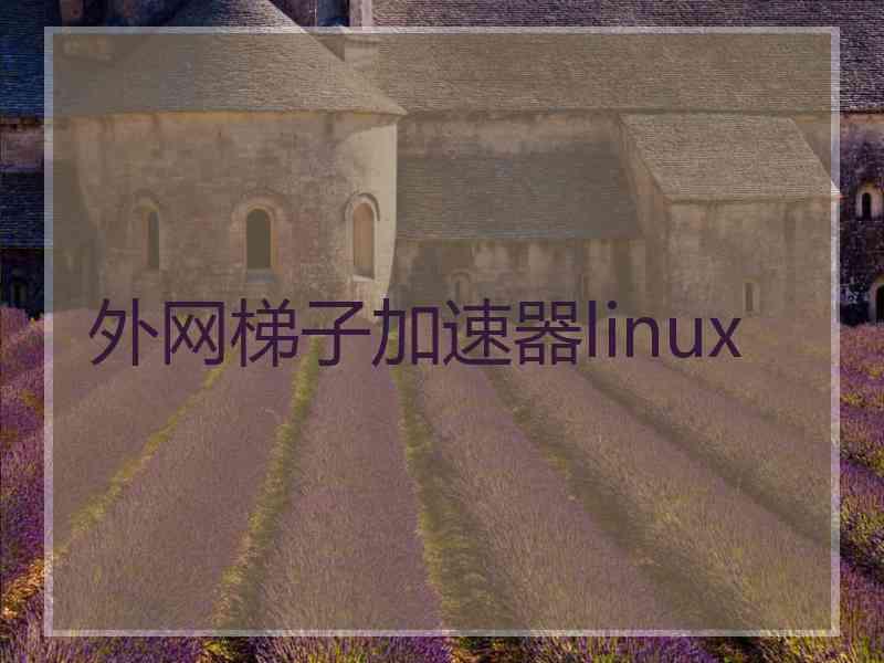 外网梯子加速器linux