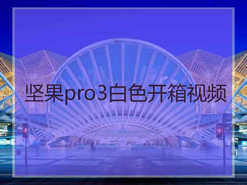 坚果pro3白色开箱视频