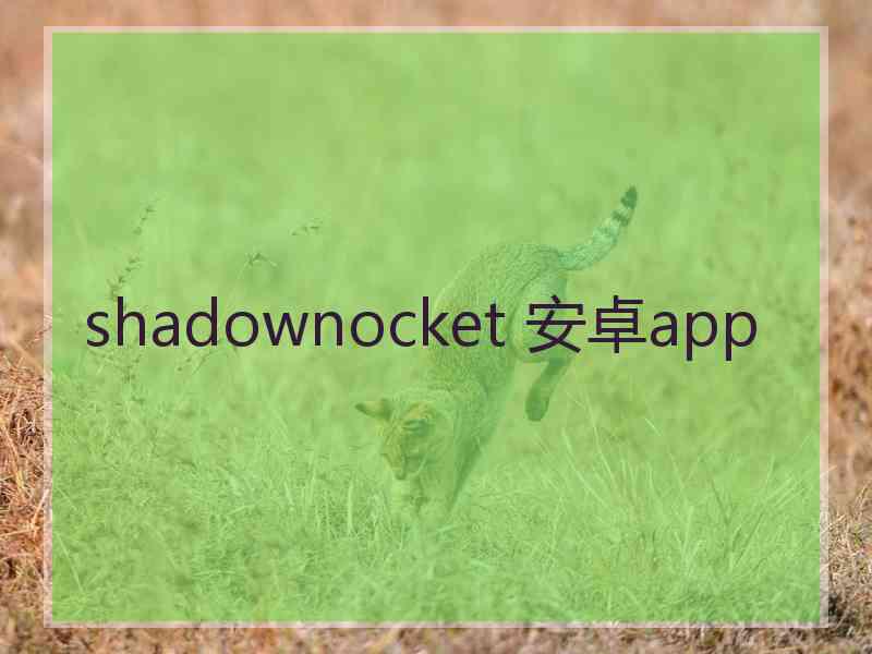 shadownocket 安卓app