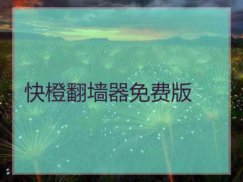 快橙翻墙器免费版