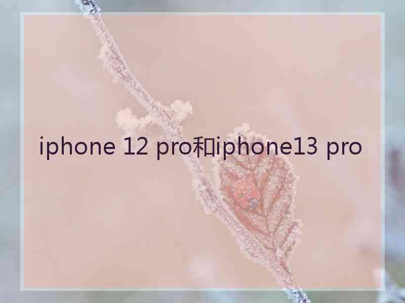 iphone 12 pro和iphone13 pro