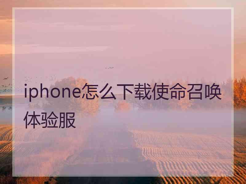 iphone怎么下载使命召唤体验服